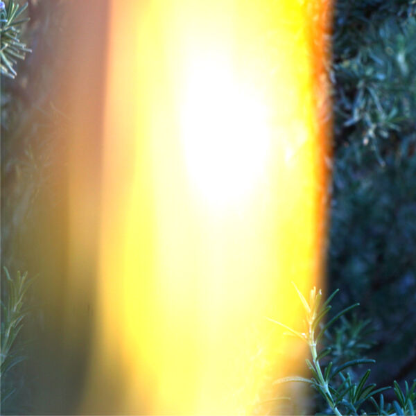 [Image: hi1z20p9tnso.jpg]