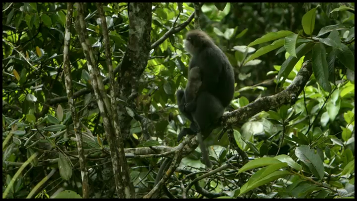 [Image: hc3illo54f0g.png]