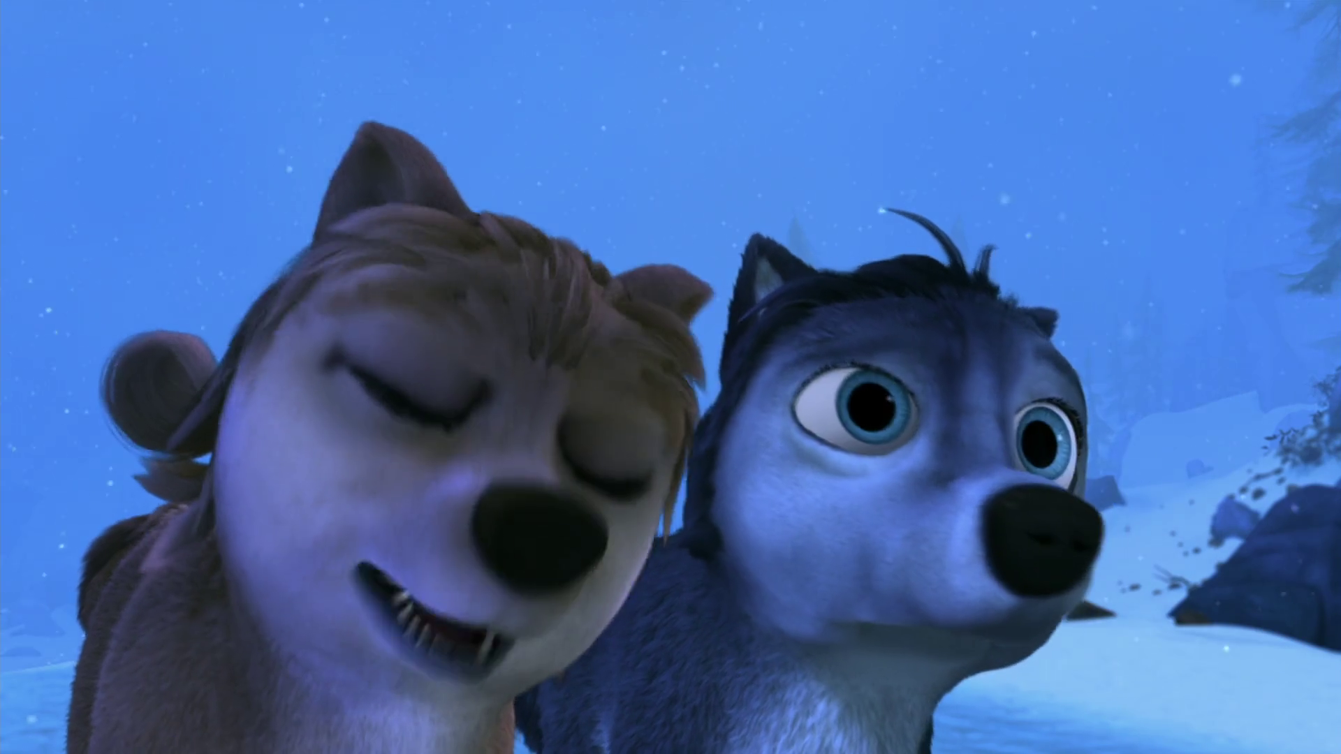 zeu8m8d58j.png
