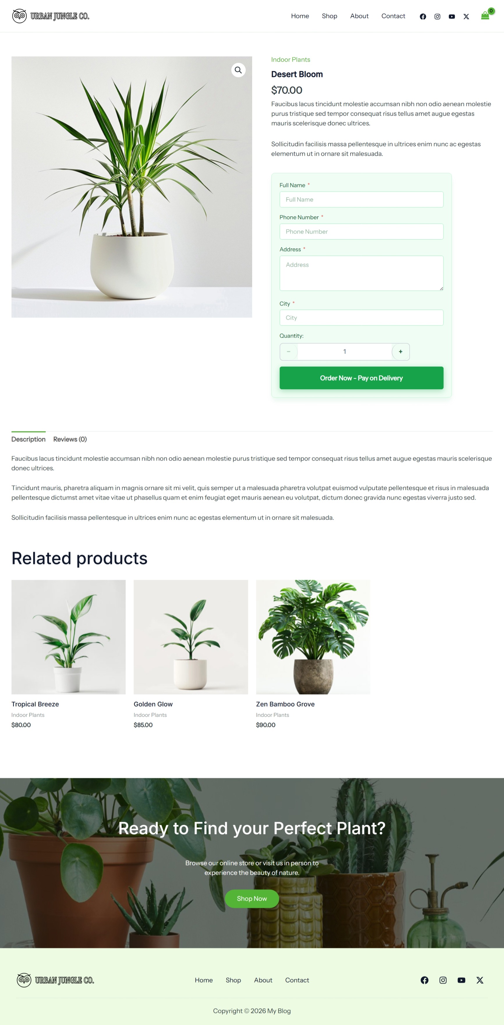 Home & Garden