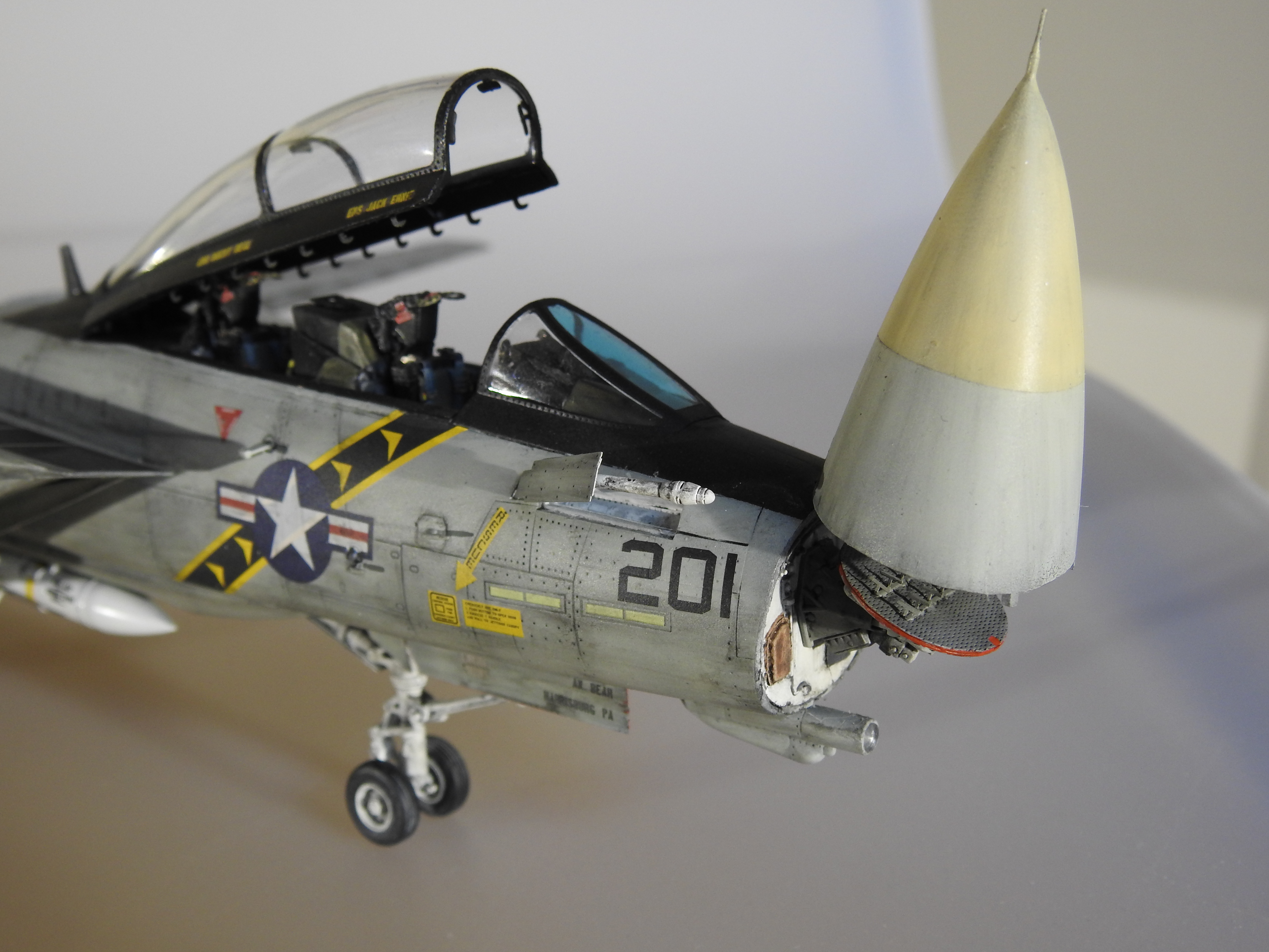 F-14A Danger Zone, Eduard, 1/48 - Klar DSCN7299