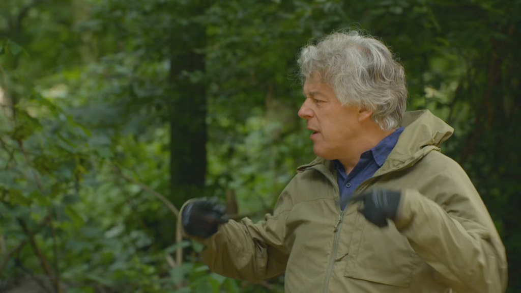 [Image: 4kcac21mon9b.png]