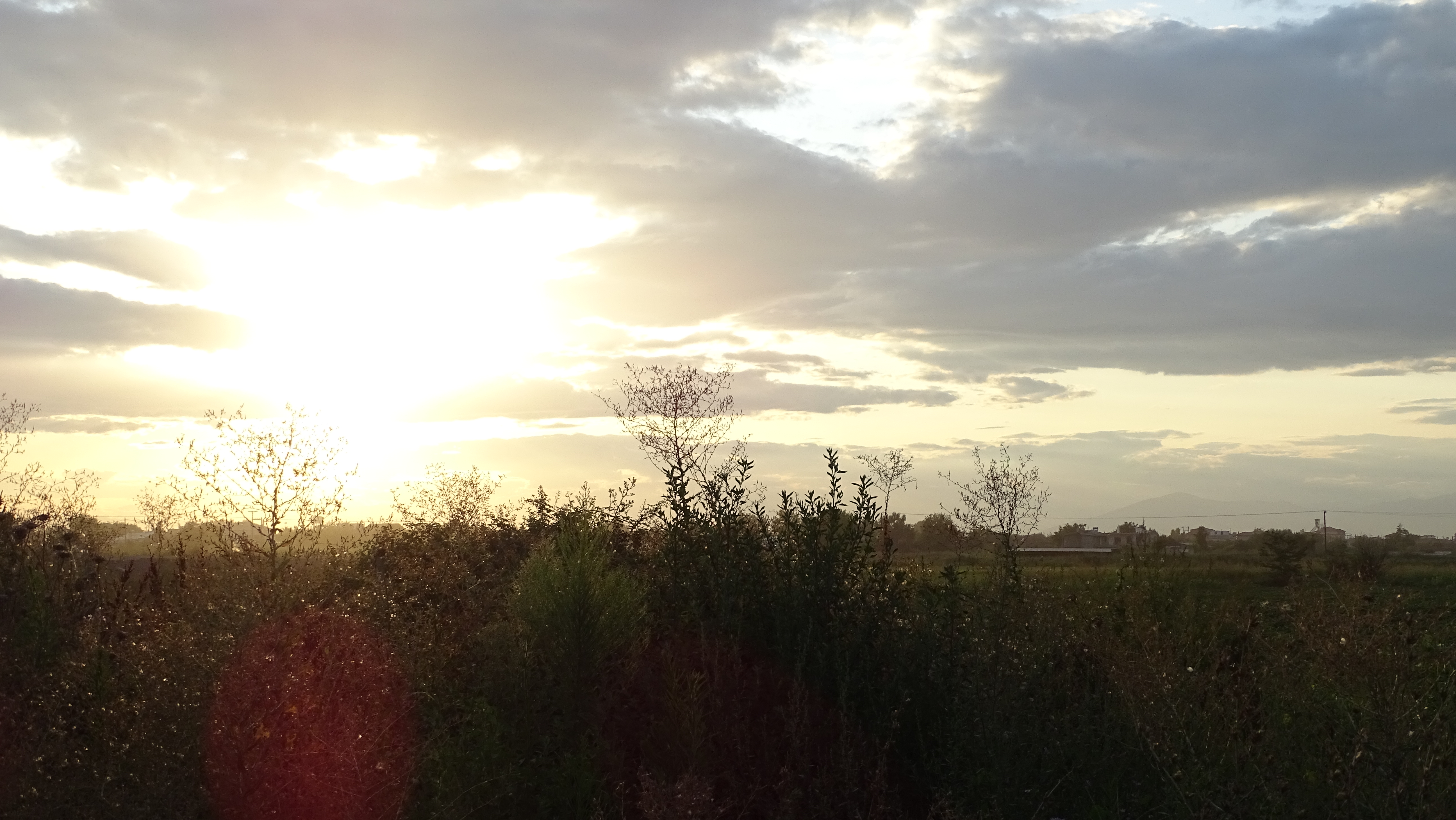 DSC02096.jpg