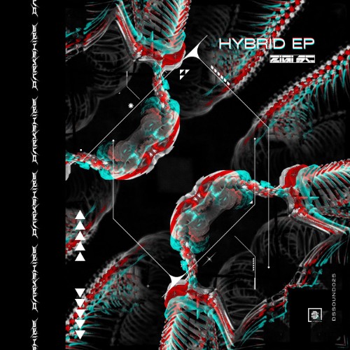 00-zigi-sc-hybrid-ep-dssound025-web-2026