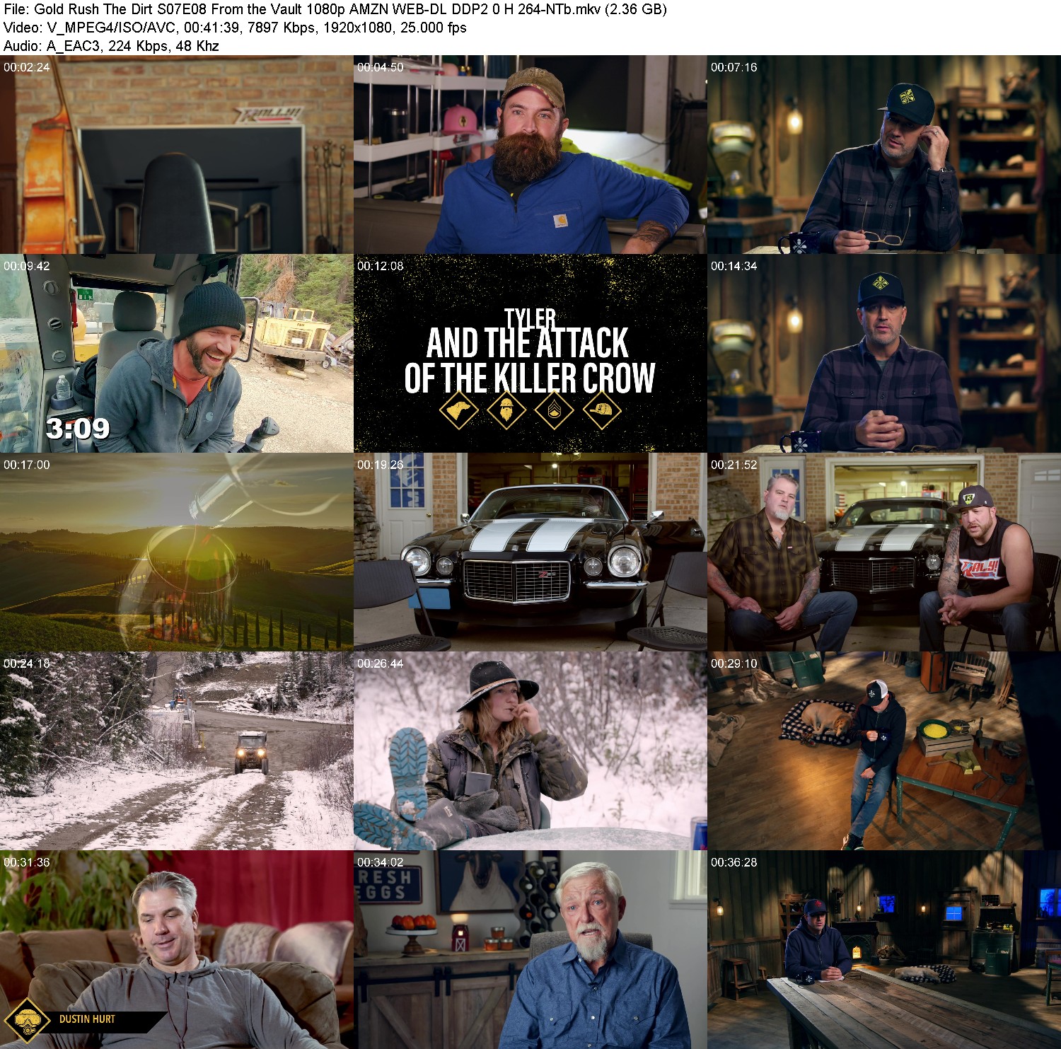 [Image: zef2v9zb67wr.jpg]