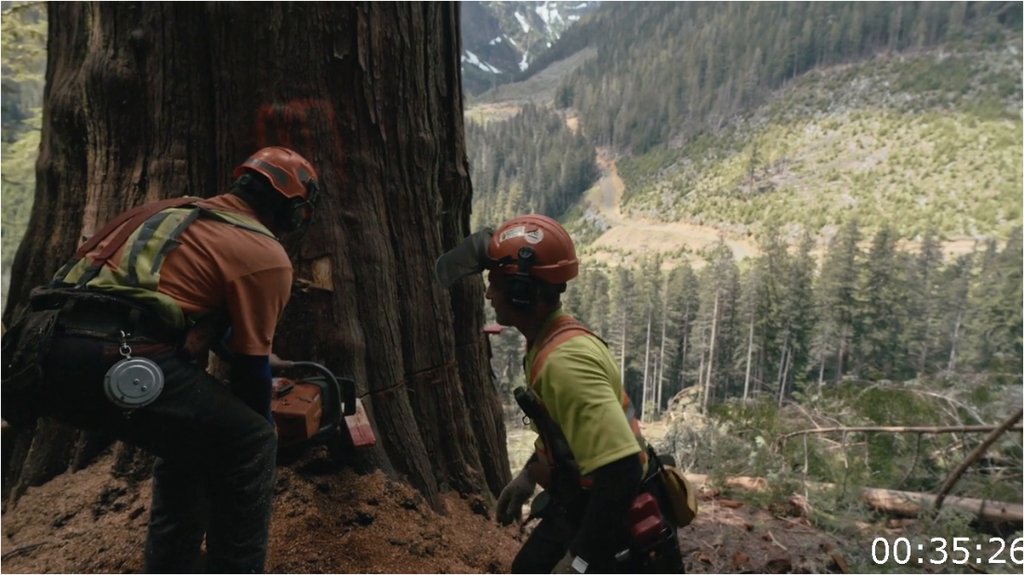 [Image: 8ikkw56bc9gd.png]