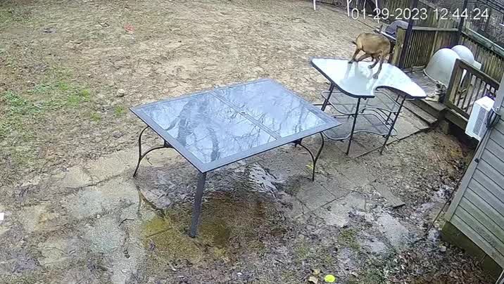 [Image: bjp8mi3r2zz4.jpg]