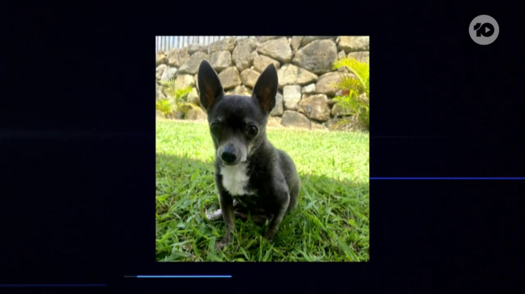 [Image: h9j3me0vh6qd.png]