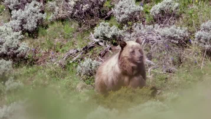 [Image: 4x8l0hgomk9r.jpg]