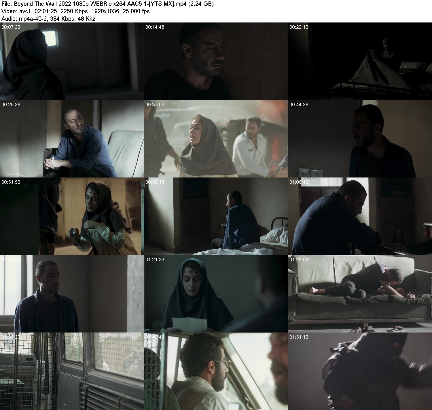 [Image: yymfvrr002t3.jpg]