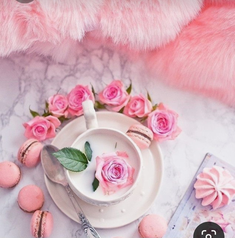 Screenshot_20230705_221946_Pinterest