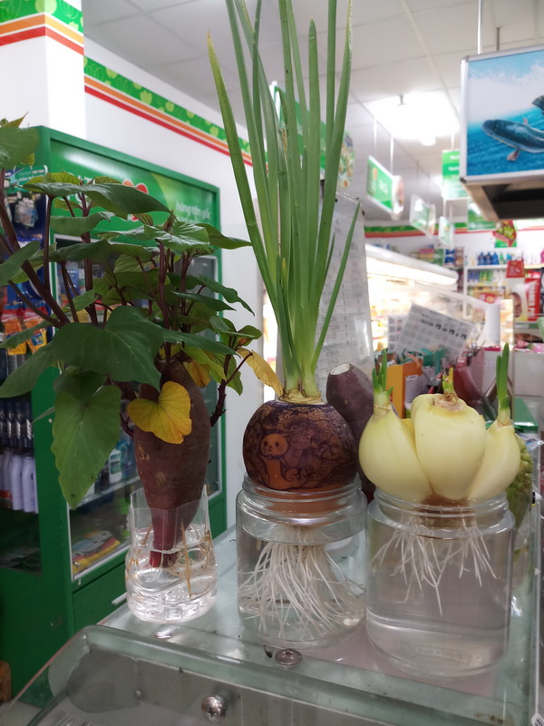 [Image: 20200612-154225.jpg]