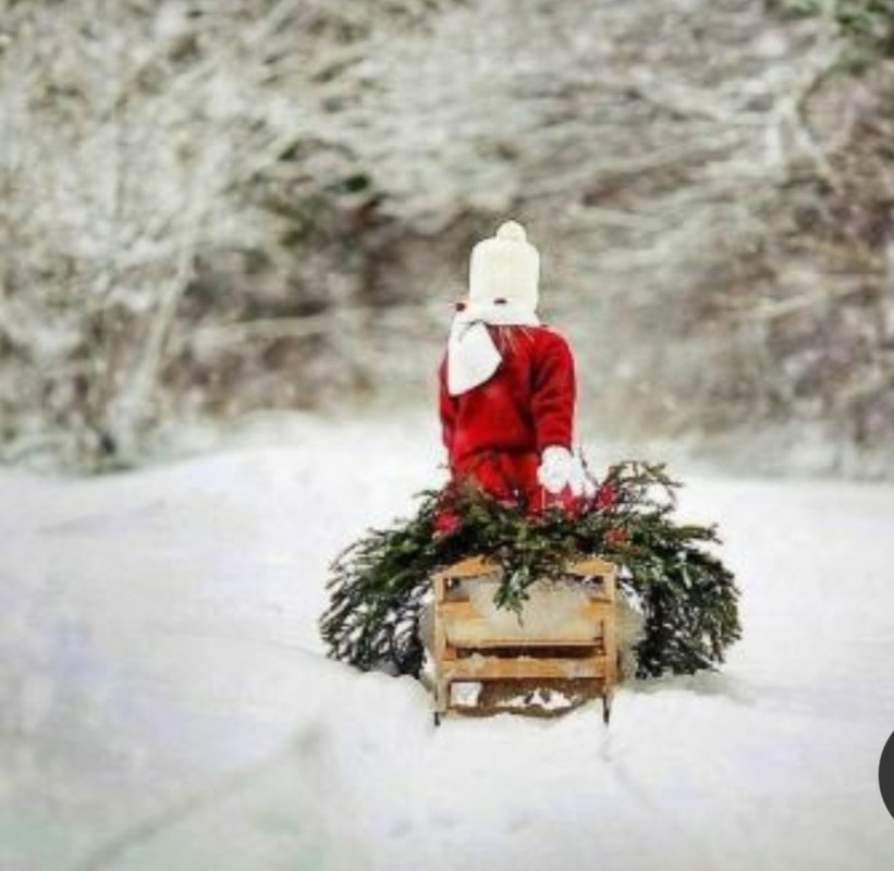 Screenshot_20231118_153403_Pinterest