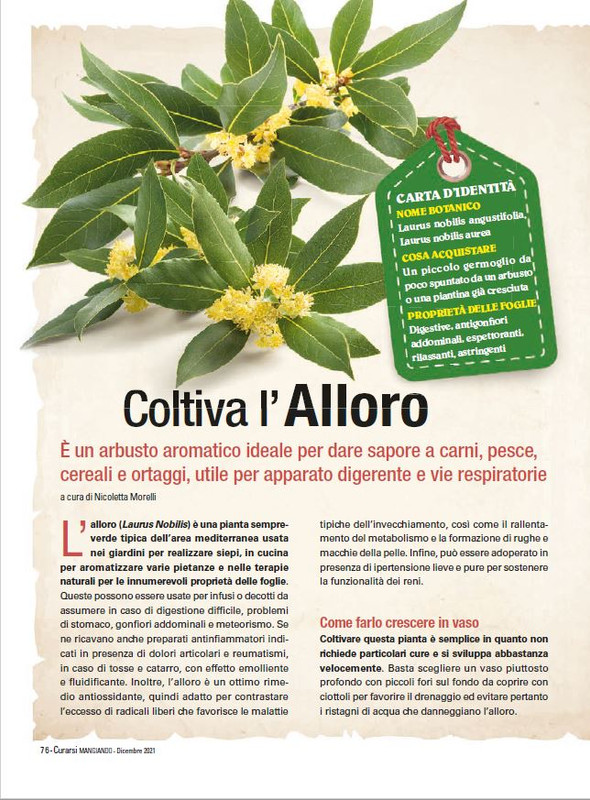 Cur Mang Dic 2021 (11)