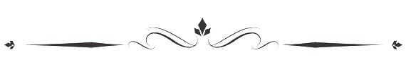 Decorative flourish scene break