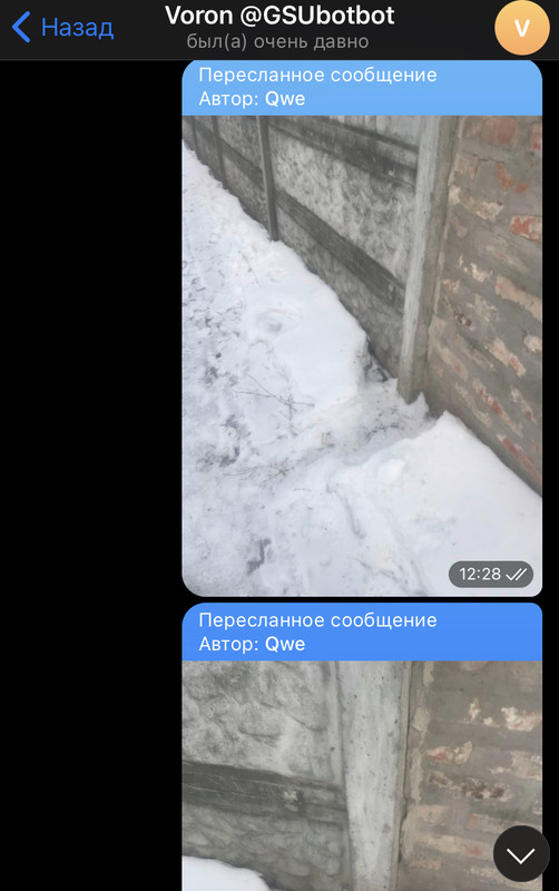 0ED5A185-22A7-4D3B-A976-256F3B4813F4