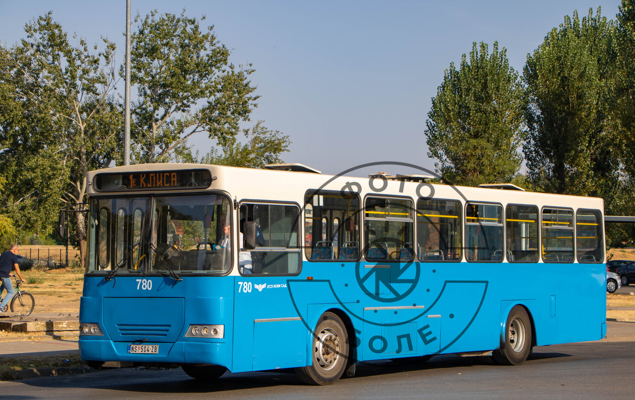 IMG-03545.jpg