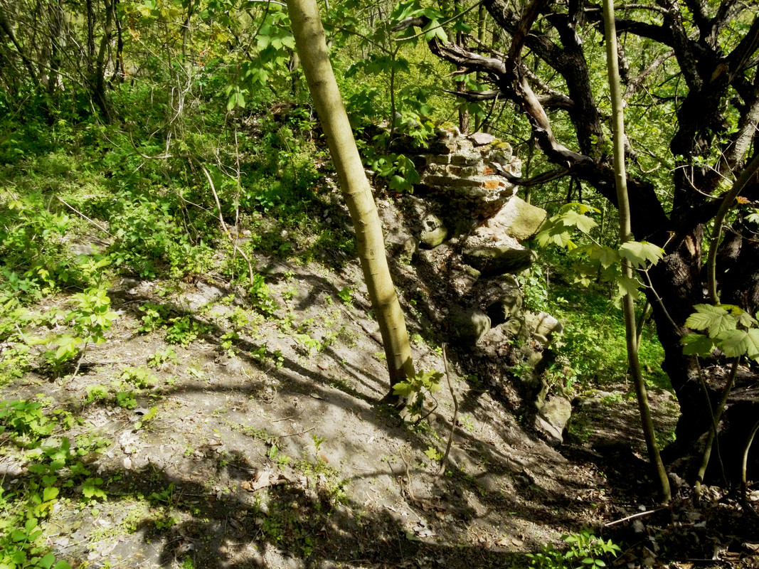 20.14 - DSC06915 (Czesio1)