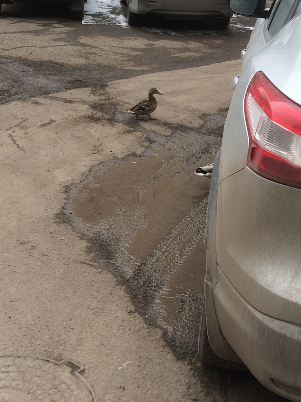 1B88BEC5-2AF9-4580-92B7-4A8260FF5D77