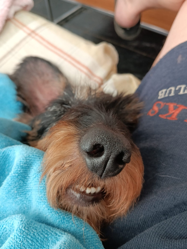 [Image: IMG-20231003-WA0012.jpg]