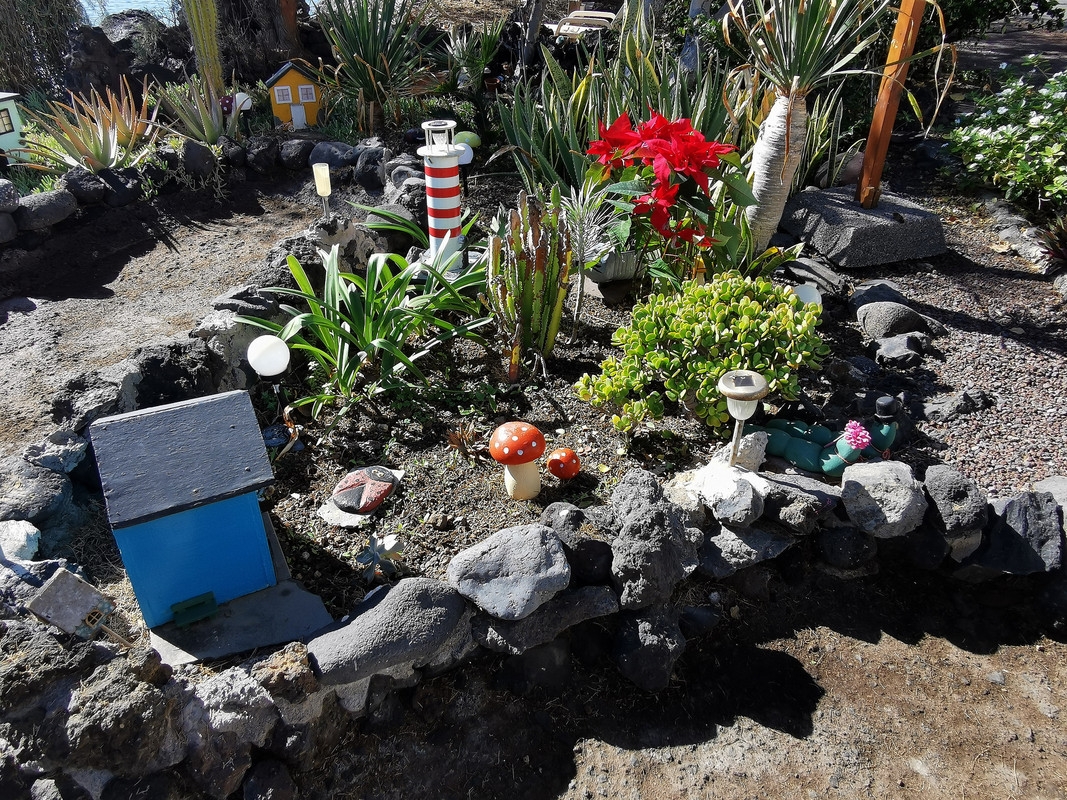 IMG_20240103_123405_edit_88407331659946