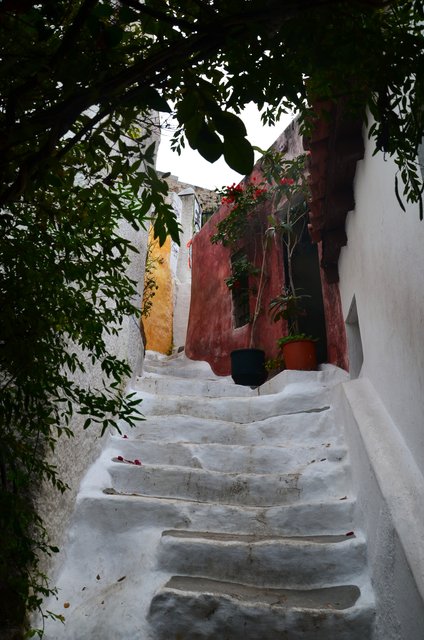 Grecia y sus pueblos-2019 - Blogs de Grecia - Madrid/ Atenas-17-11-2019 (103)