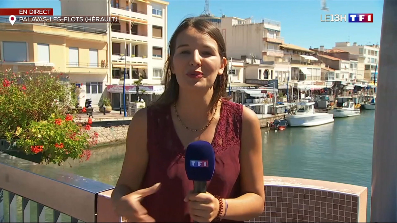 2020-09-02_13_00_TF1_Le-13h.mp4_snapshot_00.23.52.512