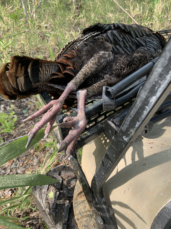 40BBCCF6-F981-494A-BA03-8CA71FC6136D