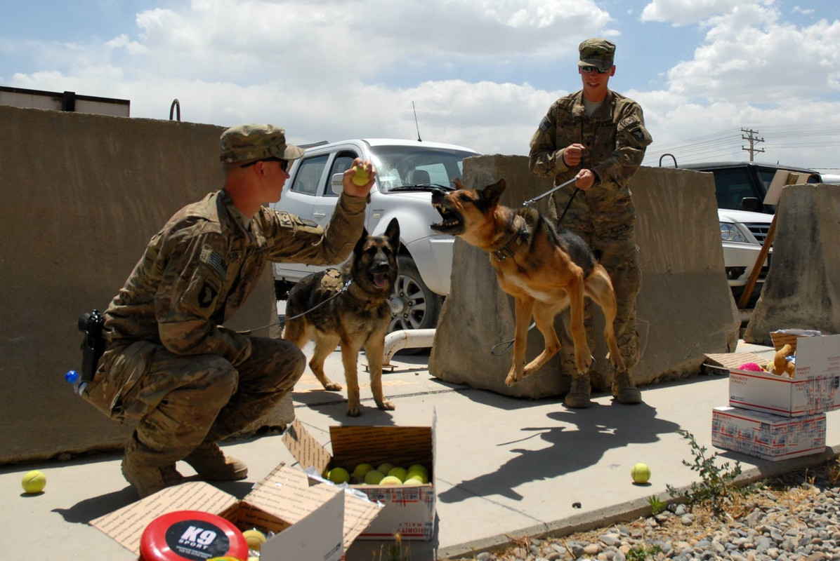 11754542_843167725780199_2181643628464259433_o