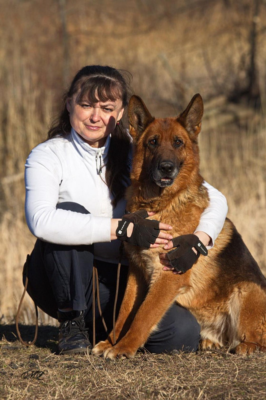 image Дакота — Postimages