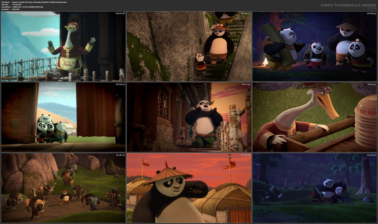 Kung Fu Panda The Paws of Destiny S01E05 A Fistful of Herbs.mkv