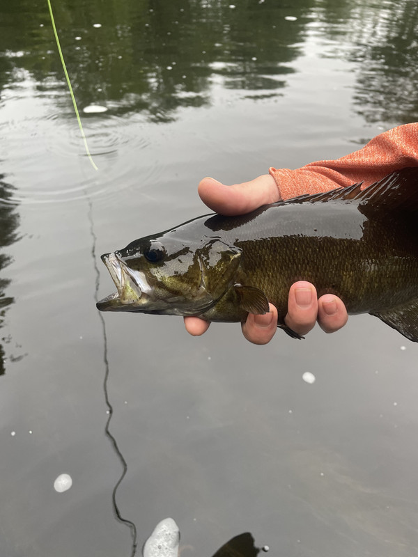 0A0E7E8E-7D2C-430F-9D7C-D4CA93B905DE