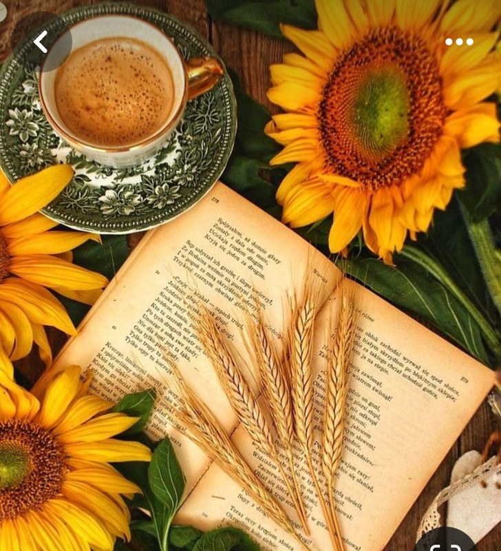 Screenshot_20240406_124330_Pinterest