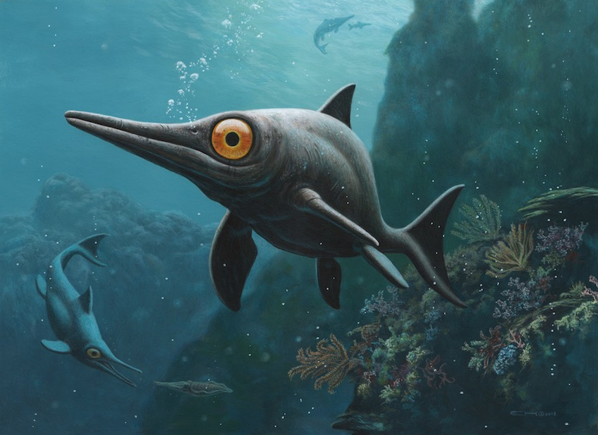 by Esther van Hulsen, with such large eyes I bet he gets accused for staring a lot https://www.esthervanhulsen.com/young-ichthyosaurus/ 