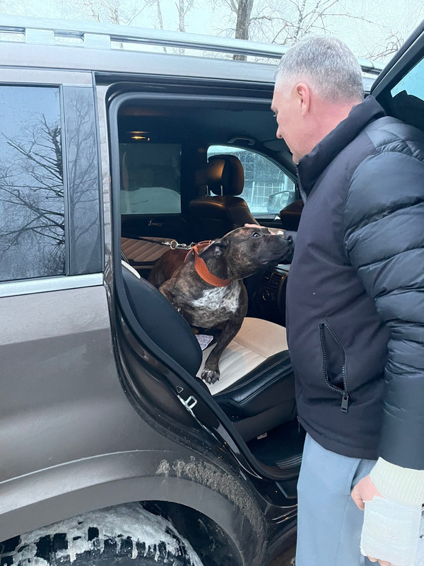 32248328-F416-457F-B7B1-52D874791CF9