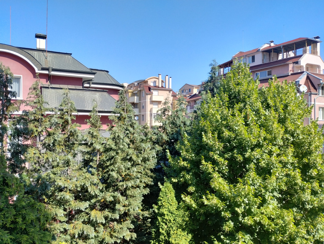 IMG_20220720_100723691_HDR