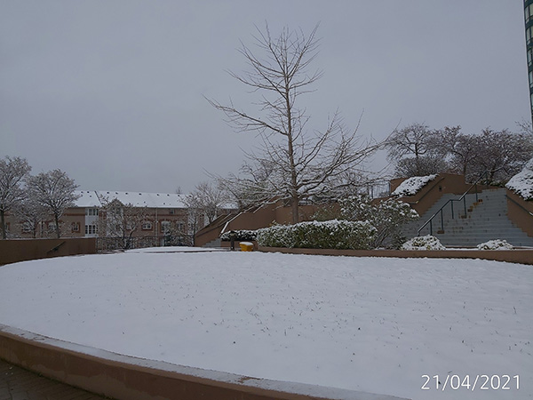[Image: IMG-20210421-094946.jpg]