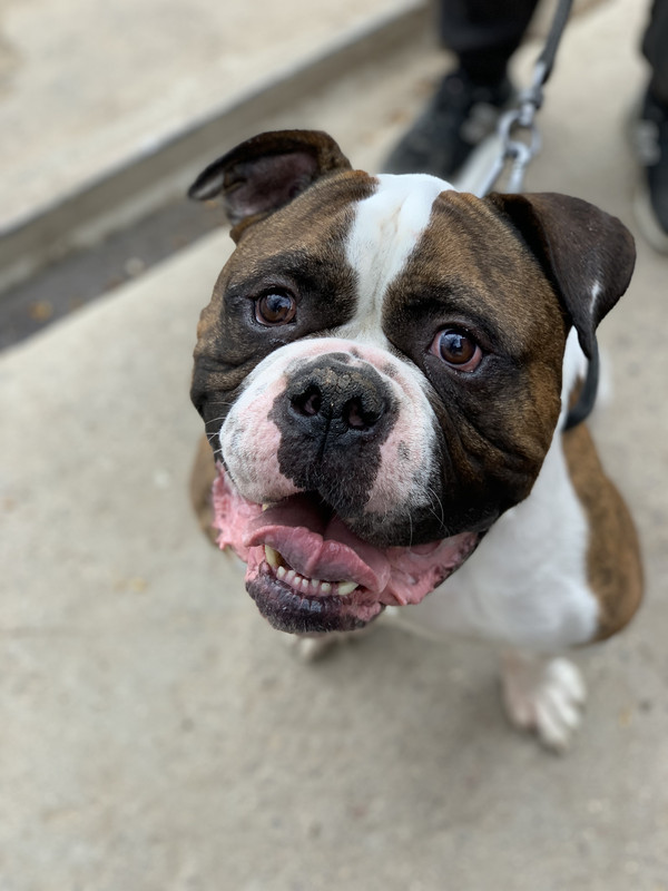 68516EF7-FCA7-4FDE-B037-23B61BC3CD3B