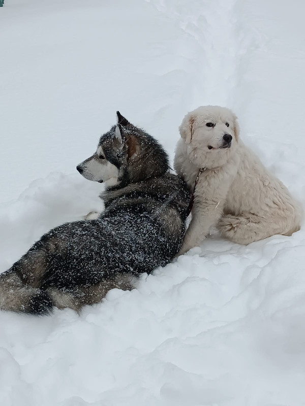 0C3C9A51-AF18-45F6-9945-B4CAE9F53ABD