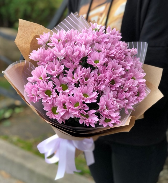 Розовый букет - как вырастить и ухаживать за хризантемами этого сорта