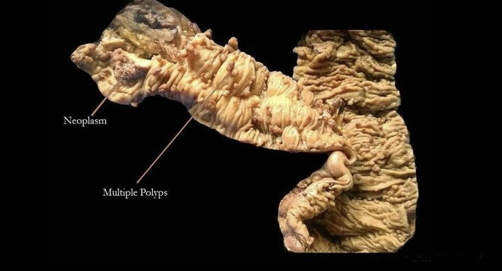 Screenshot 2025 12 30 at 1 57 44 PM