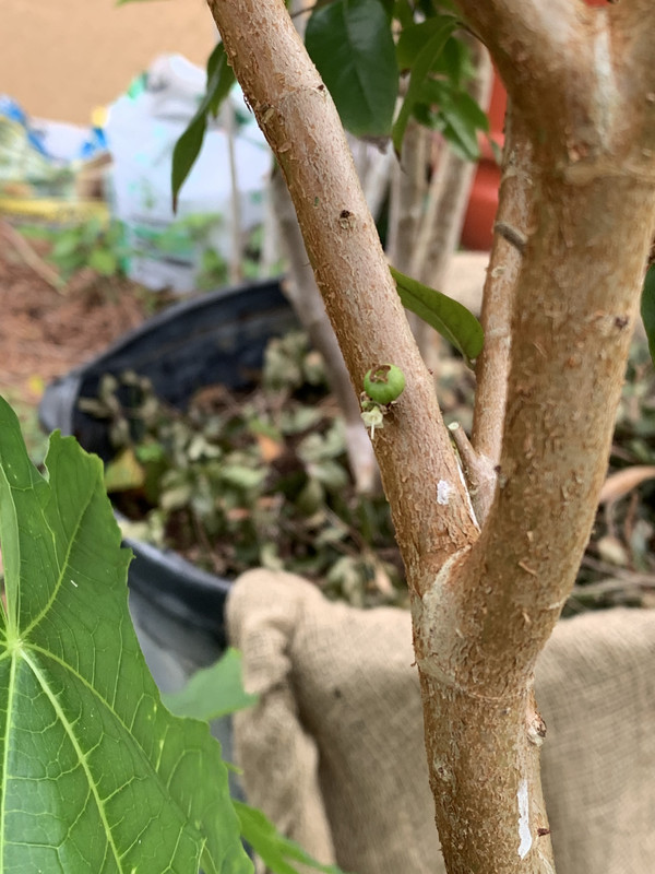 85D23DB6-4A3D-4D7F-8FBA-8A3798AAFC2F