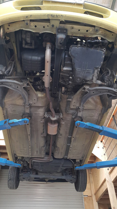 20211109_123254 (Large)