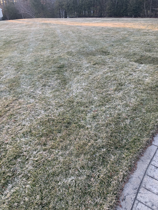 185CAC64-3F44-4505-9374-76D880726499