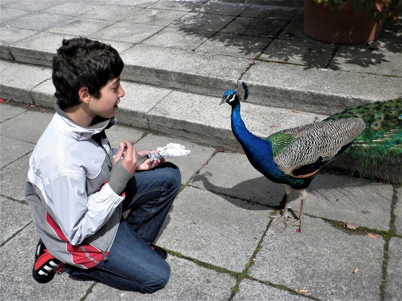 JARDINES CAMPO DEL MORO-29-4-2012-MADRID - Paseando por España-1991/2015-Parte-1 (8)