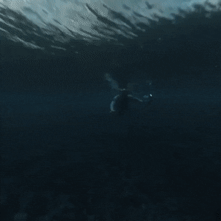 GIFs-13