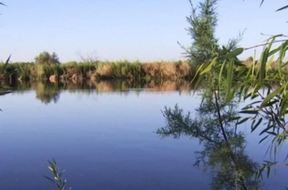 Fallece trágicamente en un río de Arizona al buscar el anillo de su madre