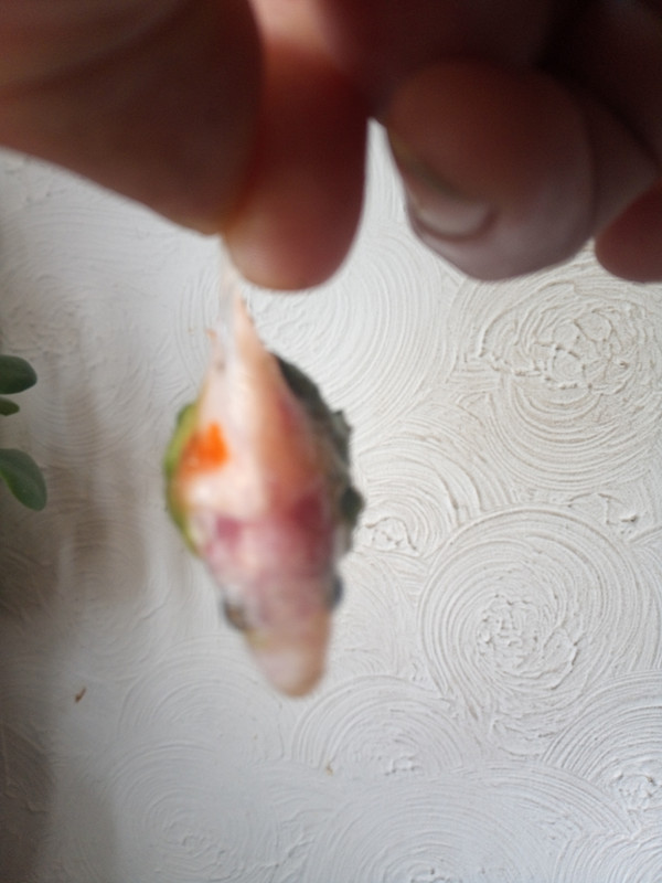 IMG_20240716_143917_085