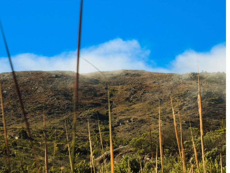 Pico do Araçatuba na Serra do Mar, Paraná