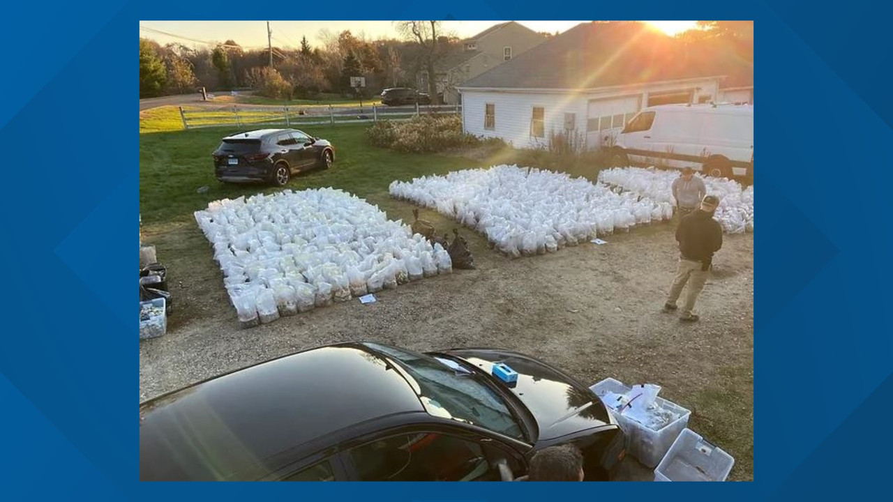 fa8e2c5e-32a9-42a5-a8c4-4c7e3a1bc744_1920x1080